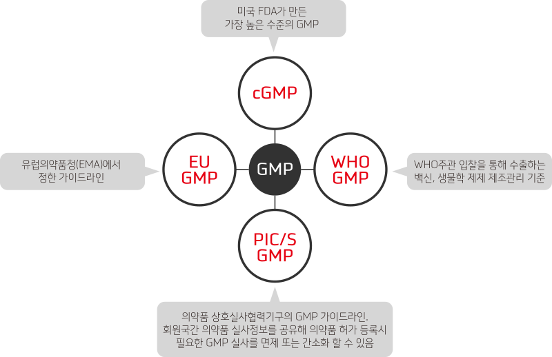     ⱸ GMP ̵